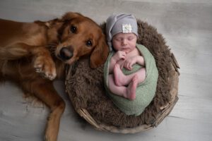 A golden retriever lies on the floor next to a newborn baby wrapped in a green blanket, sleeping in a basket lined with brown fur—captured by a talented Miami newborn photographer.