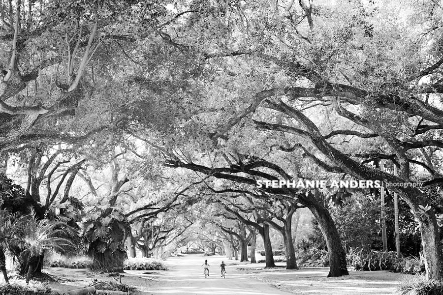 coral gables photography