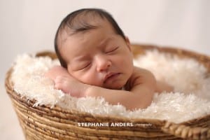 miami newborn photography