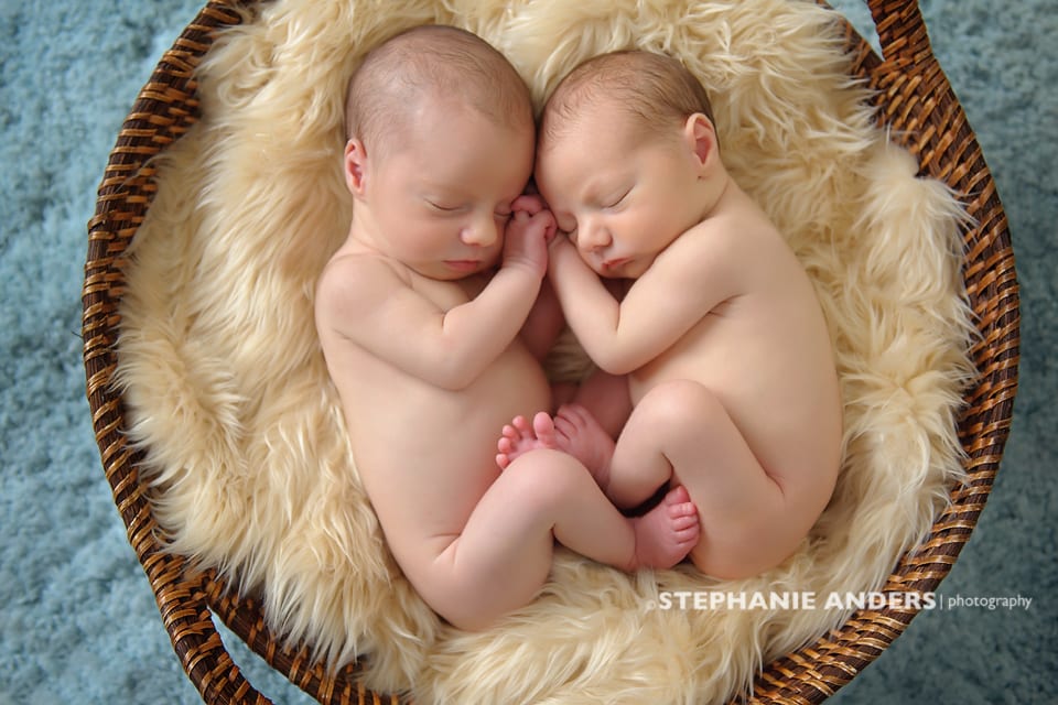 twins in basket with fuzzy blanket