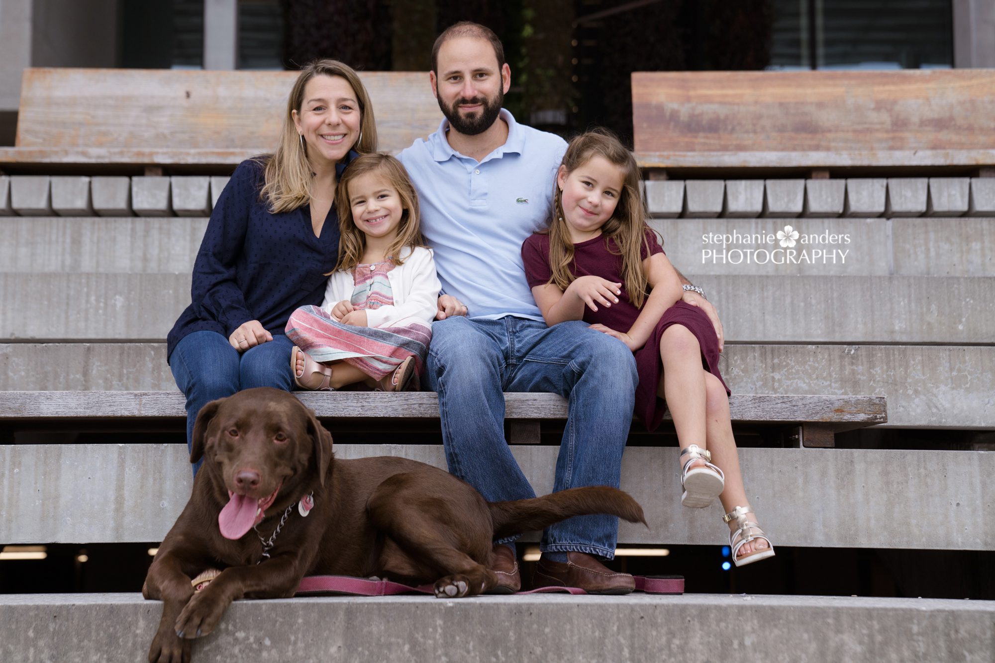 family portraits with chocolate lab