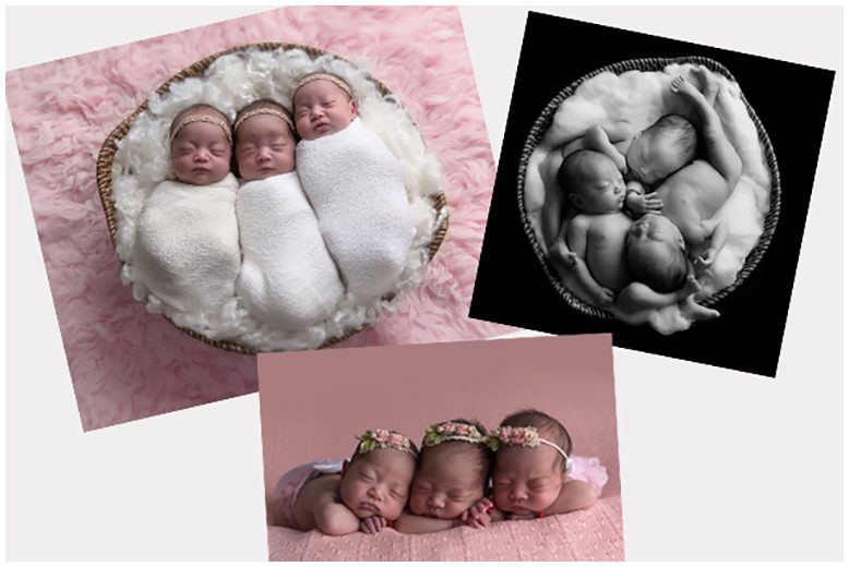 Four pictures of newborn babies in baskets.
